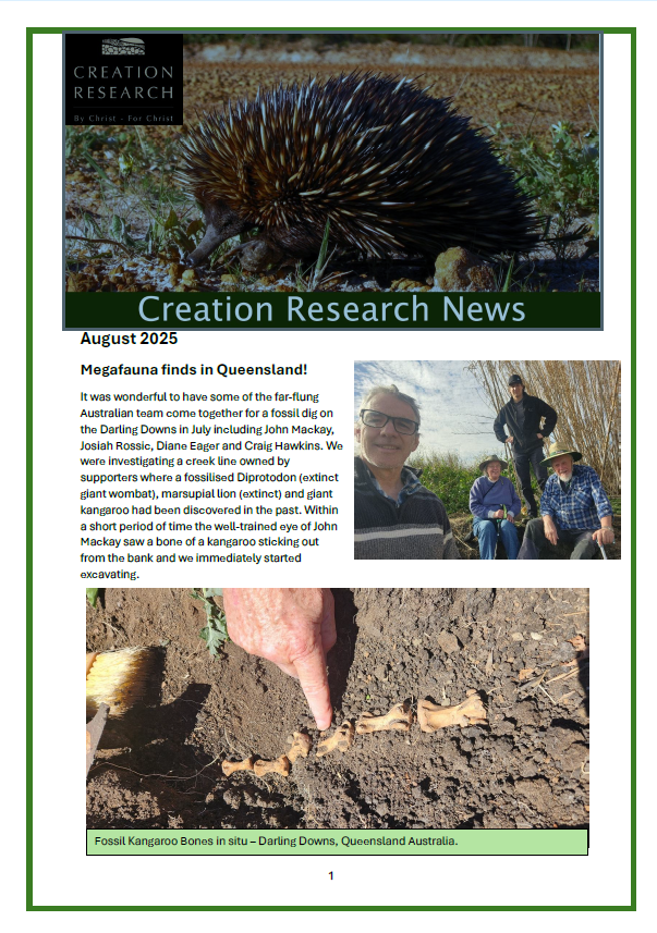 You are currently viewing Creation News – 19 August 2025