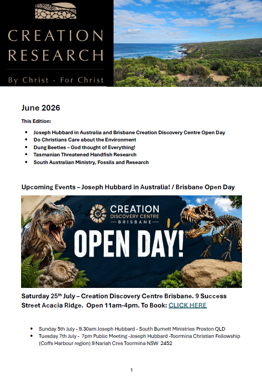 Creation News – June 2026